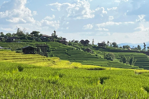 Terrazze di riso di Pa Pong Piang e Parco nazionale di Doi InthanonTerrazze di riso Pa Pong Piang e Parco Nazionale Doi Inthanon