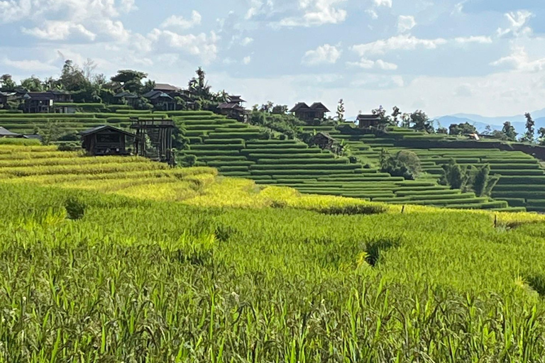 Terrazze di riso di Pa Pong Piang e Parco nazionale di Doi InthanonTerrazze di riso Pa Pong Piang e Parco Nazionale Doi Inthanon