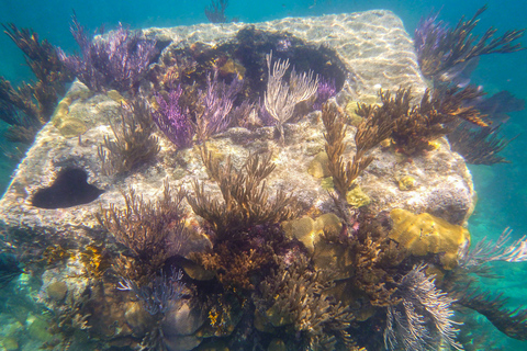 Corón: recorrido por los acantilados costeros, la playa y la isla de Malcapuya