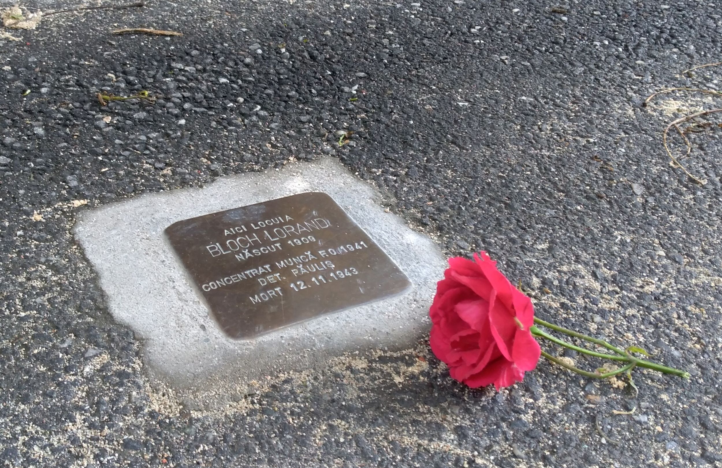 Timisoara: Jüdisches Erbe Rundgang