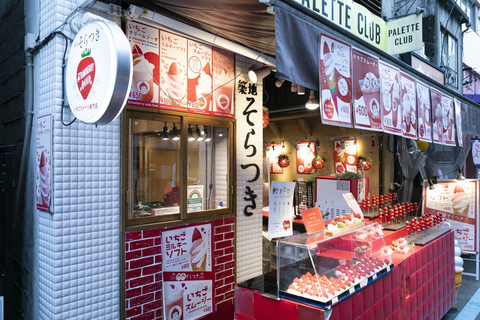 Tokyo Traditional local seafood Market Tsukiji Guided Tour