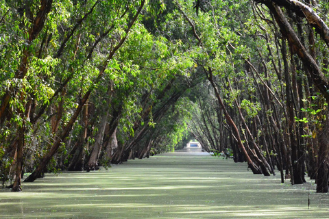 Da Ho Chi Minh: tour di tre giorni del delta del MekongOpzione standard