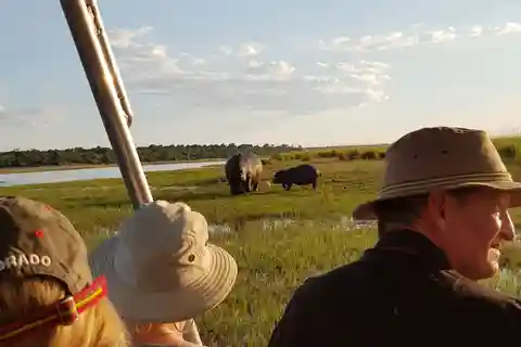 Au départ de Victoria Falls : Safari de jour à Chobe avec déjeuner buffet