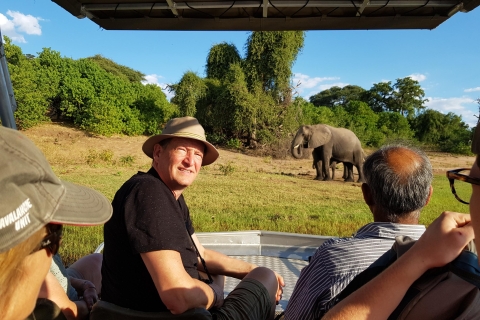 Ab den Victoriafällen: Chobi-Safari mit Mittagsbuffet