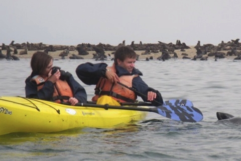Walvis Bay : Excursion en kayak à Pelican Point