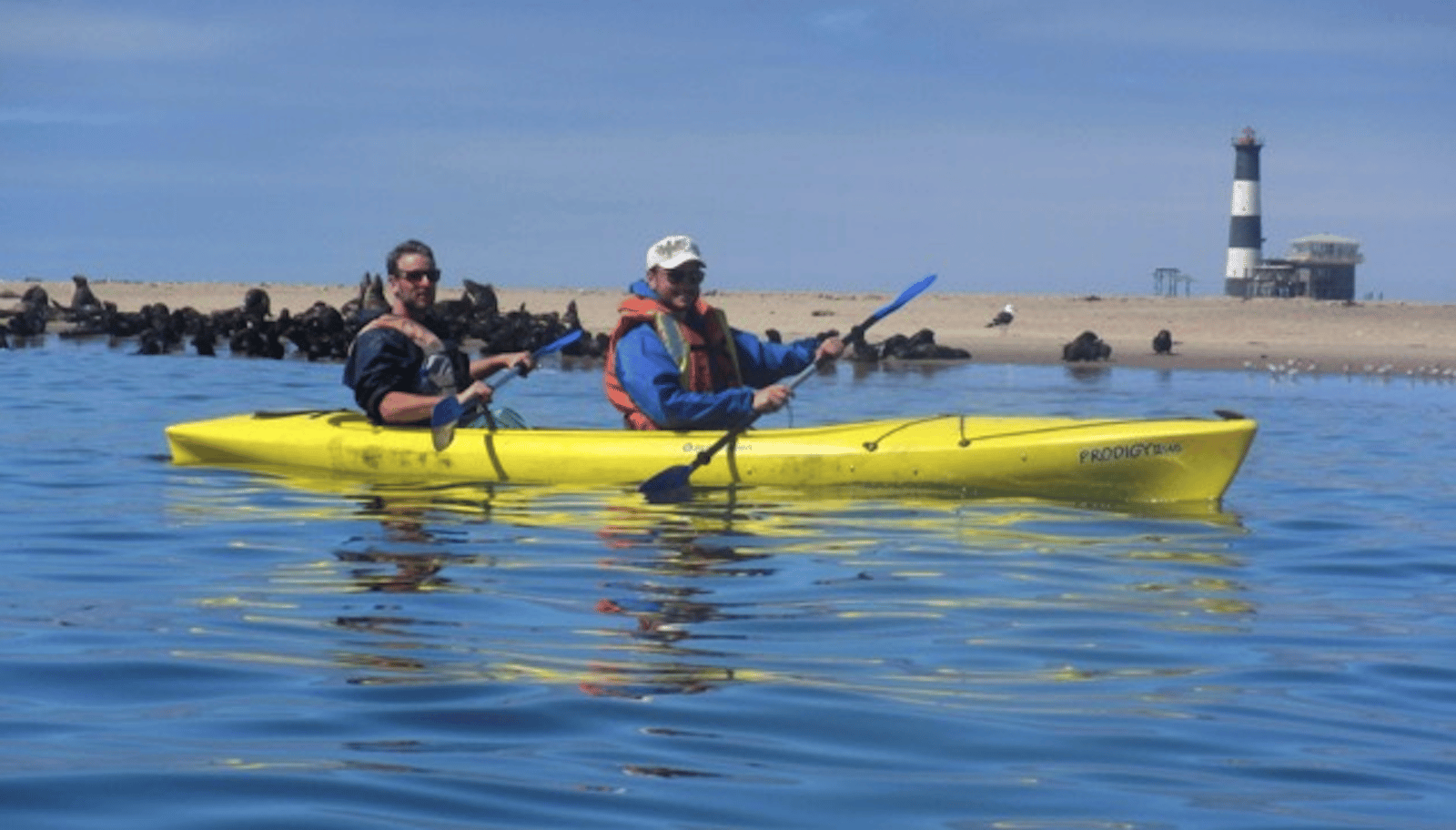 Walvis Bay: Pelican Point Kajak Tour