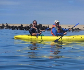 Walvis Bay: Excursión en Kayak por Pelican Point