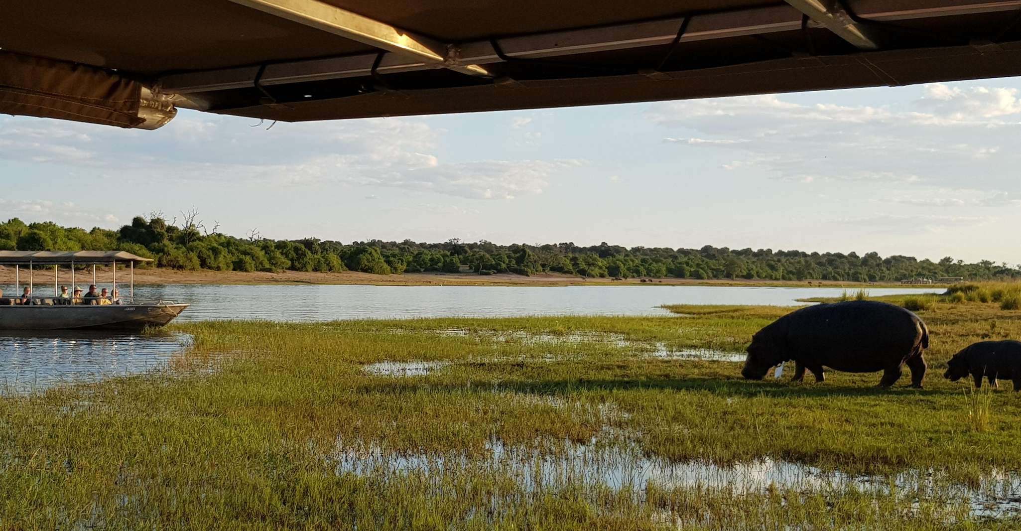Nationaal park Chobe Full Day & Overnight Safari - Hizvo