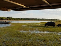 Parc national Chobe Journée complète et Safari de nuit - Hizvo