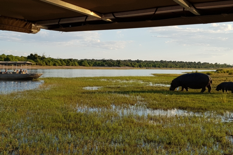 Safari de día completo y noche en el Parque Nacional Chobe