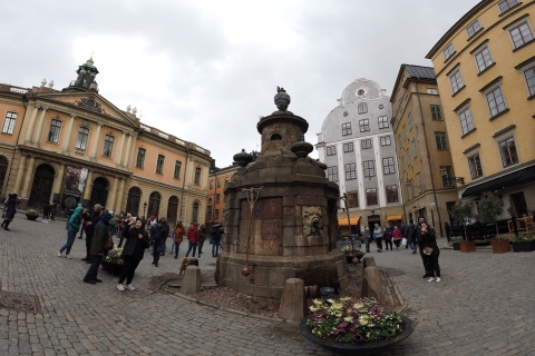 Estocolmo: visita turística guiada de día completo con almuerzo