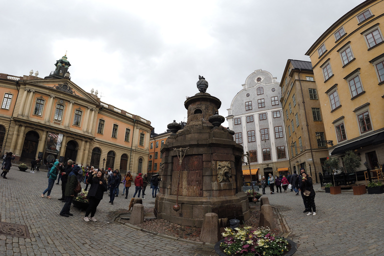 Stockholm: begeleide sightseeingtour van een hele dag met lunch