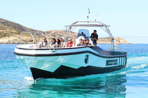 Van Calvi: 2 uur durende cruise bij zonsondergang naar het schiereiland Revellata