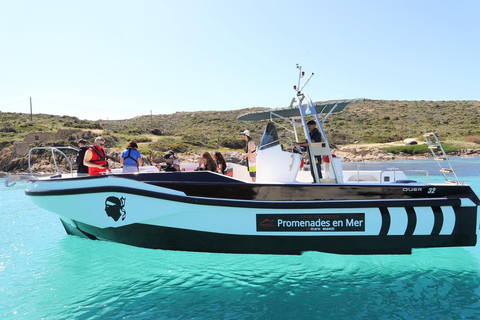 Van Calvi: 2 uur durende cruise bij zonsondergang naar het schiereiland Revellata