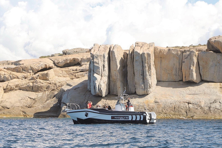 From Calvi: 2-Hour Sunset Cruise to Revellata Peninsula