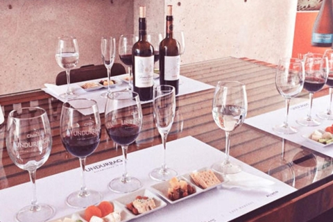 Undurraga : visite officielle des vignoblesVisite Premium en espagnol avec Aroma Room