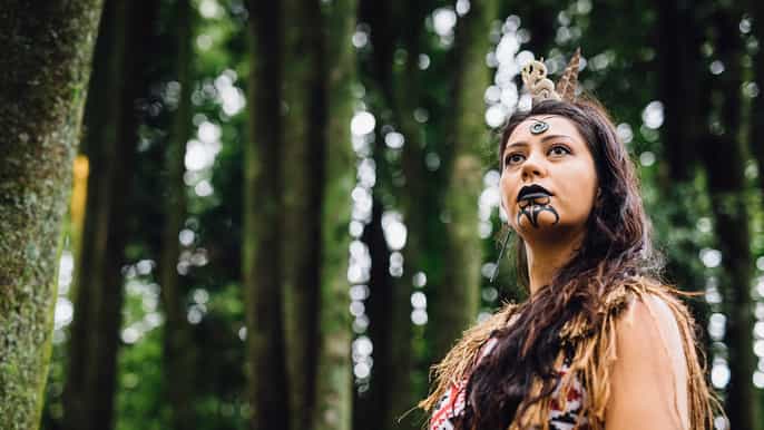 tamaki maori village evening cultural experience