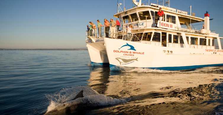 From Sydney Jervis Bay Dolphin Cruise + Hyams Beach