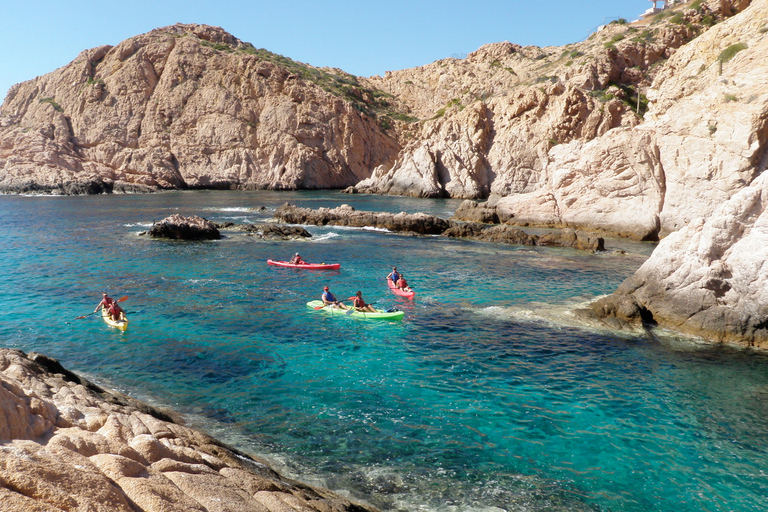 Los Cabos: Caiaque e mergulho em duas baías imaculadasLos Cabos: Caiaque e Mergulho em Duas Baías Prístinas