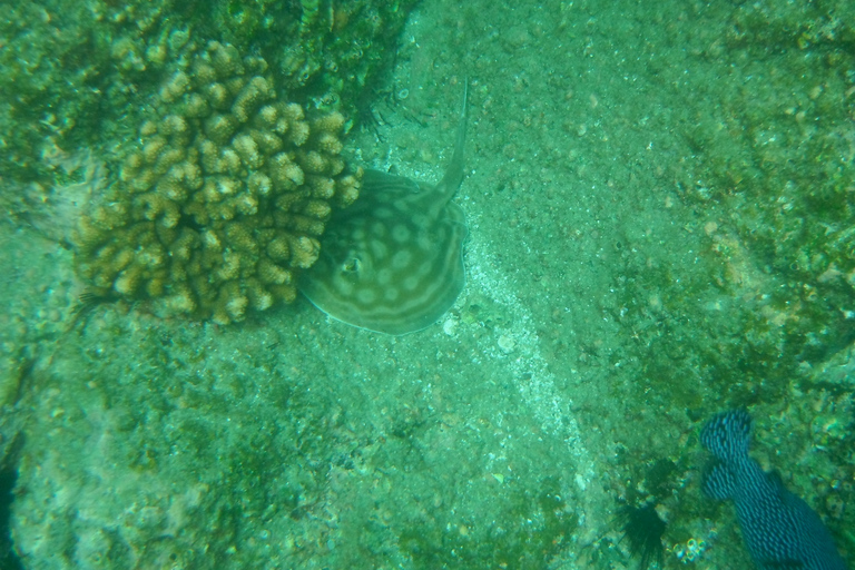 Los Cabos: Caiaque e mergulho em duas baías imaculadasLos Cabos: Caiaque e Mergulho em Duas Baías Prístinas
