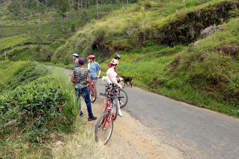 Sri Lanka: tour guiado en bicicleta de 4 horas por EllaOpción estándar