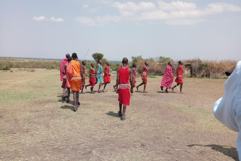 Au départ de Nairobi : Safari en groupe de 3 jours/2 nuits dans le Maasai MaraSafari privé de 3 jours/2 nuits