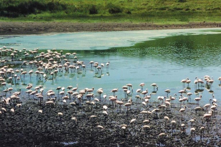 Arusha: Arusha National Park Tagestour