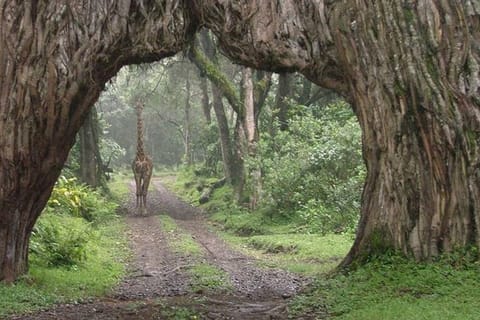 Natura e avventura