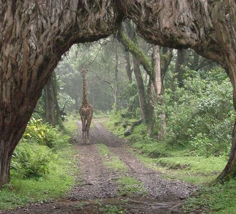 Nature & adventure