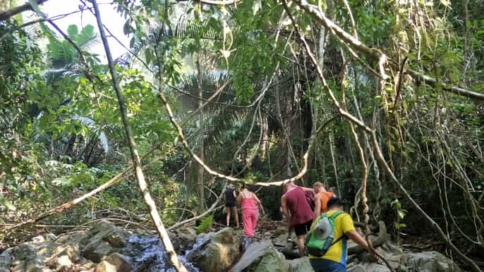 from phuket halfday jungle hike with hotel pickup