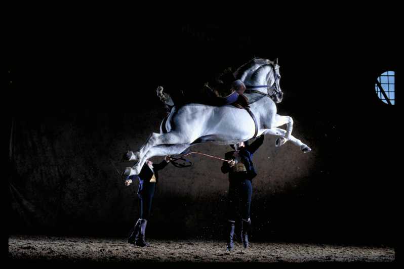 Jerez de la Frontera: danza dei cavalli andalusi e musei