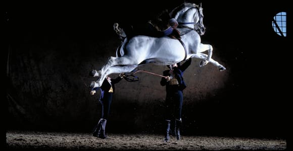 Jerez de la Frontera: Andalusian Horse Dance and Museums