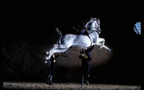 Jerez de la Frontera: Andalusian Horse Dance and Museums