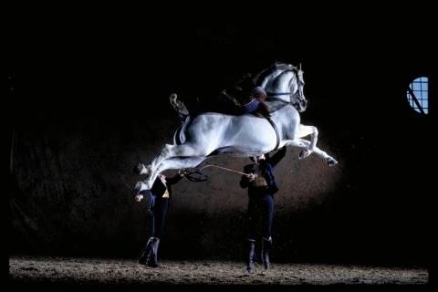 Jerez de la Frontera: Andalusische paardendans en museaAndalusische paardendans en musea - algemeen ticket