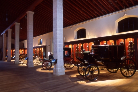 Jerez de la Frontera: baile de caballos andaluces y museos