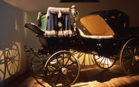Jerez de la Frontera, Andalusian Horse Dance and Museums - Housity