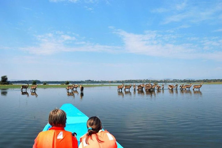 Nairobi: Nakuru National Park and Lake Naivasha Day Tour Nakuru National Park & Lake Naivasha Day Tour with Fees