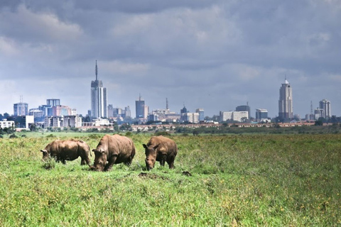 Nairobi National Park: Half or Full-Day Private Layover Tour Full-Day Layover Tour with Giraffe Center Visit