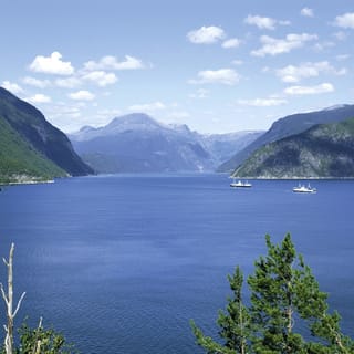 From Bergen: Private Trip to Hardangerfjord