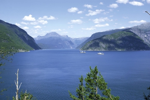 De Bergen: Voyage privé à HardangerfjordOption standard