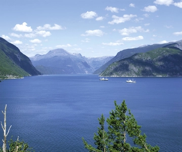 From Bergen: Private Trip to Hardangerfjord