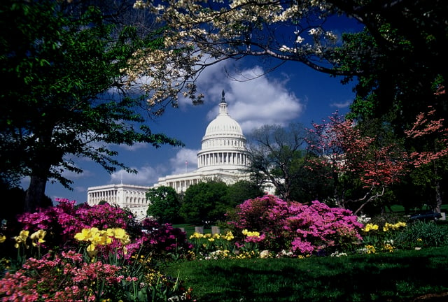 Washington, DC : Leçon de photographie sur les monuments et mémoriaux