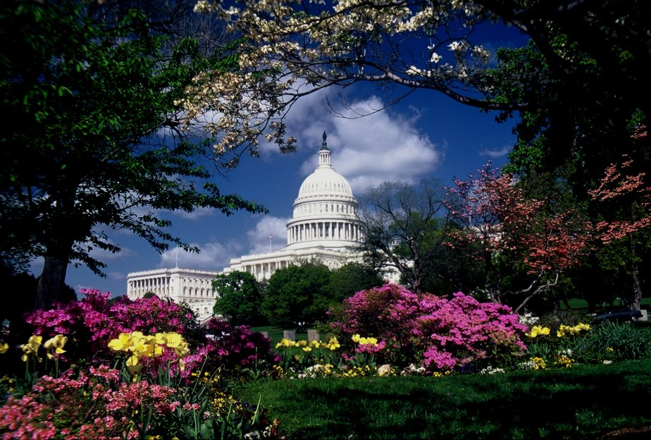 Washington, DC: Lección de Fotografía de Monumentos y Conmemoraciones