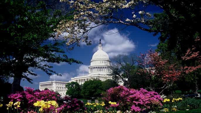 washington dc monuments and memorials photography lesson