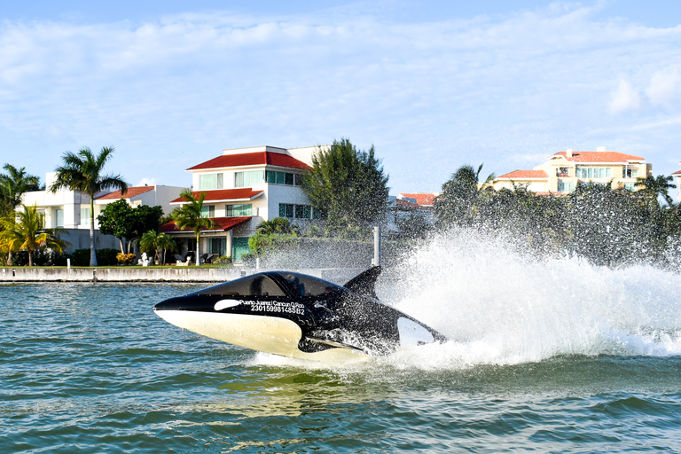 Cancun: Seabreacher RideRit van 15 minuten