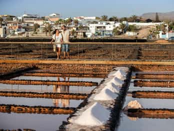 From Caleta de Fuste: Explore Rural Fuerteventura Tour