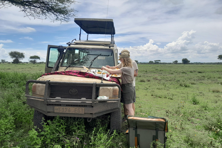3-Day Serengeti Skies & Ngorongoro Wonders