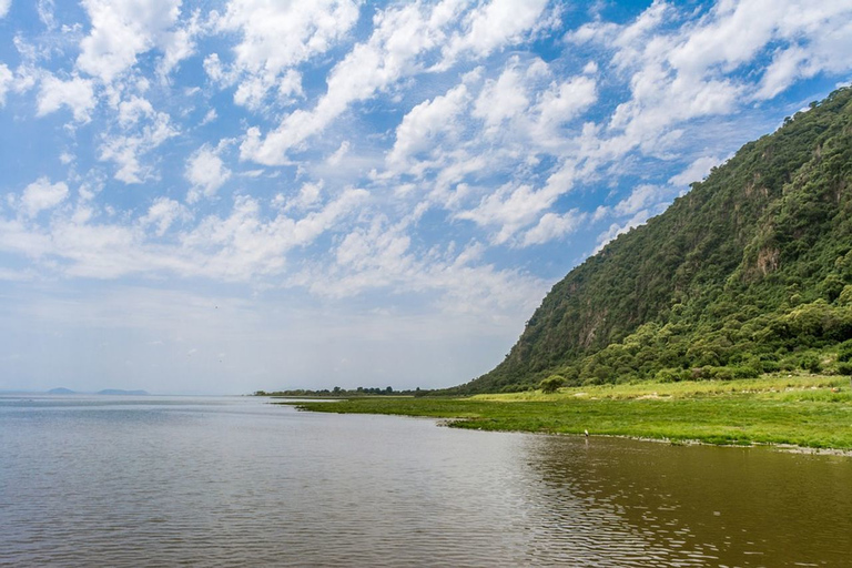 Desde Arusha: cráter del Ngorongoro con recorrido por la naturaleza y almuerzo