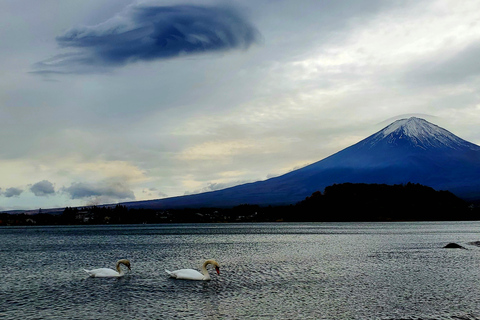 Viaje de 3 días a Tokio, el Monte Fuji y Hakone