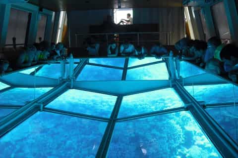 Red Sea: Sea Scope Submarine Trip & Snorkeling